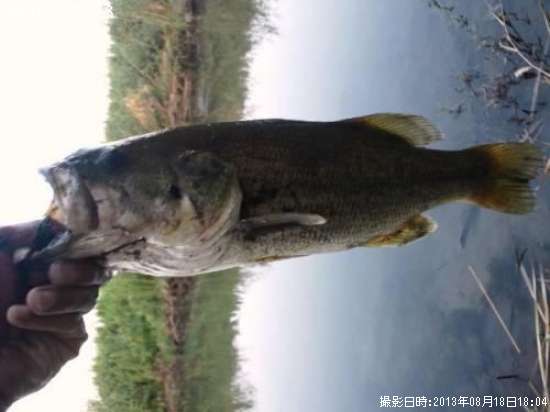 �֥�å��Х�