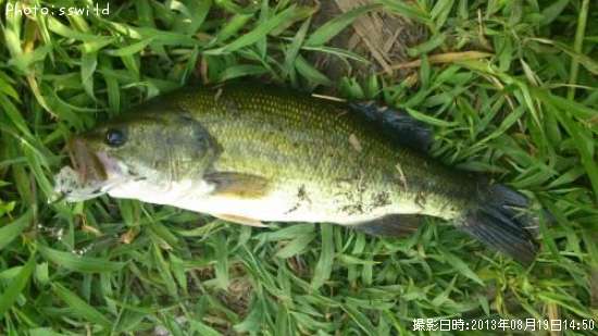 �֥�å��Х�