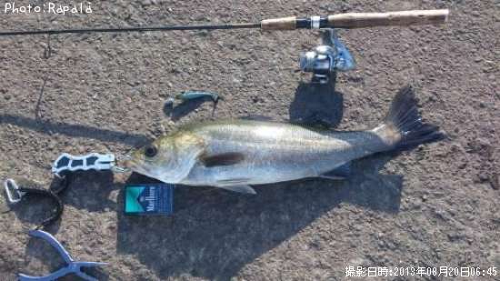 �����Х�