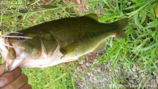 �֥�å��Х�