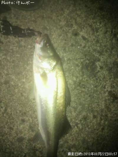 �����Х�