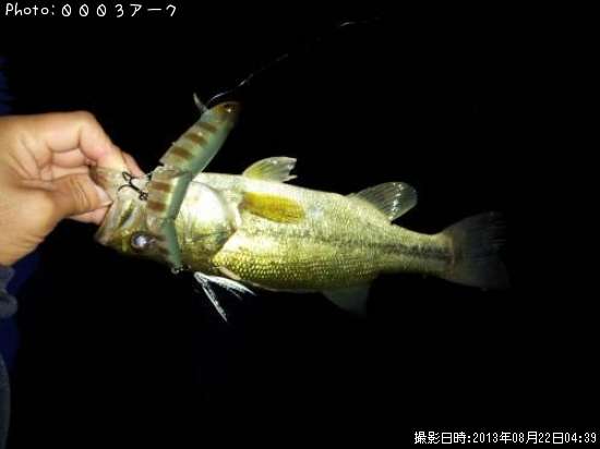 �֥�å��Х�