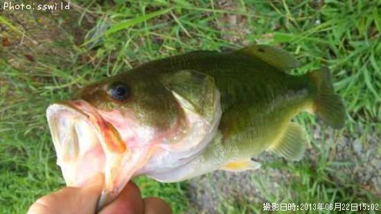 �֥�å��Х�