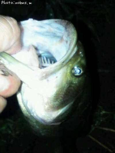 �֥�å��Х�