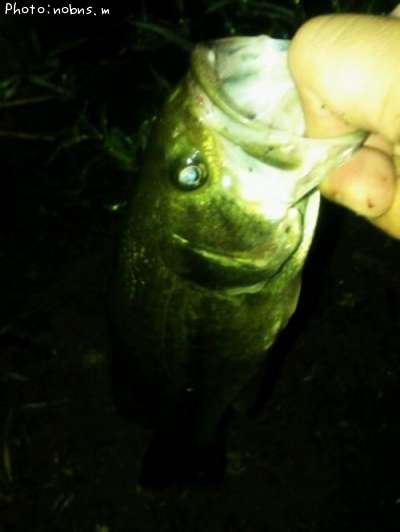 �֥�å��Х�