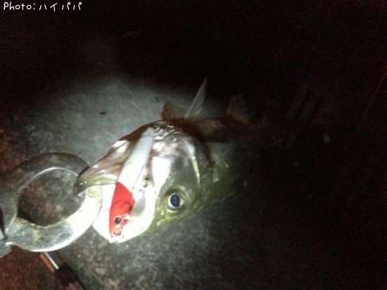 �����Х�