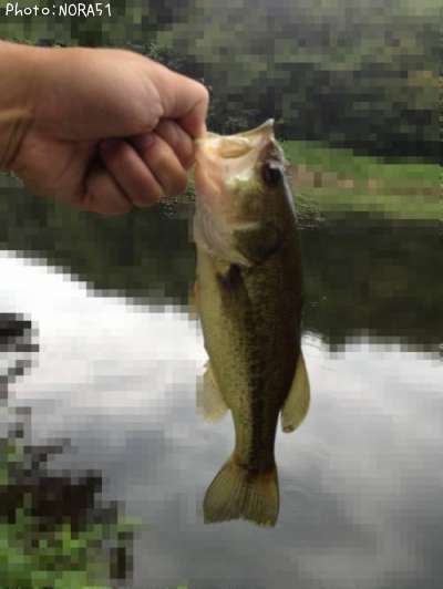 �֥�å��Х�