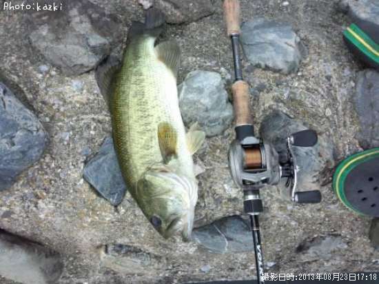 �֥�å��Х�