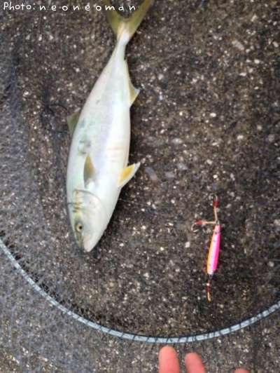 �參�����