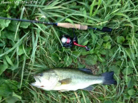 �֥�å��Х�