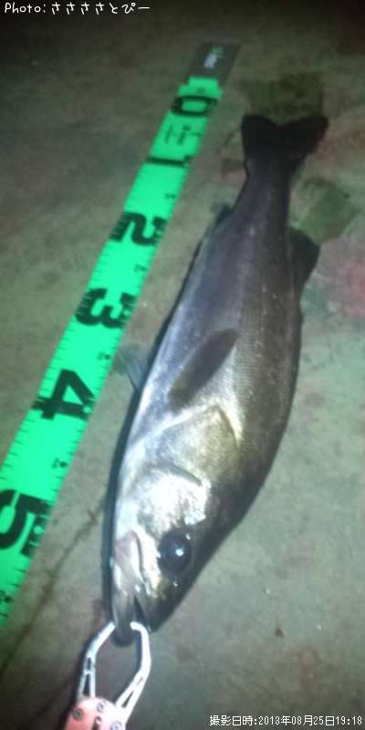 �����Х�