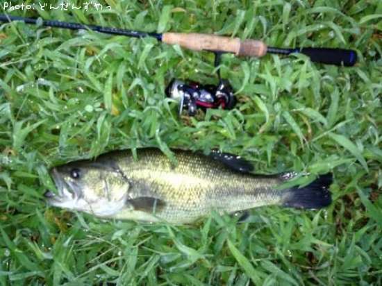 �֥�å��Х�