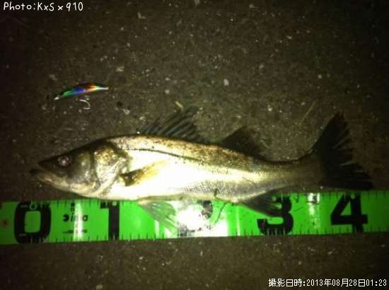 �����Х�