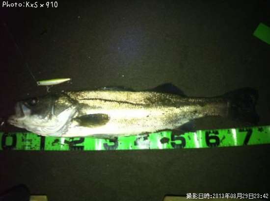 �����Х�