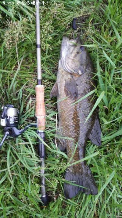 �֥�å��Х�