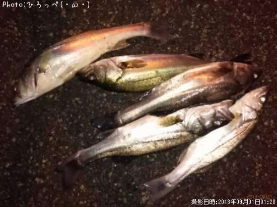 �����Х�