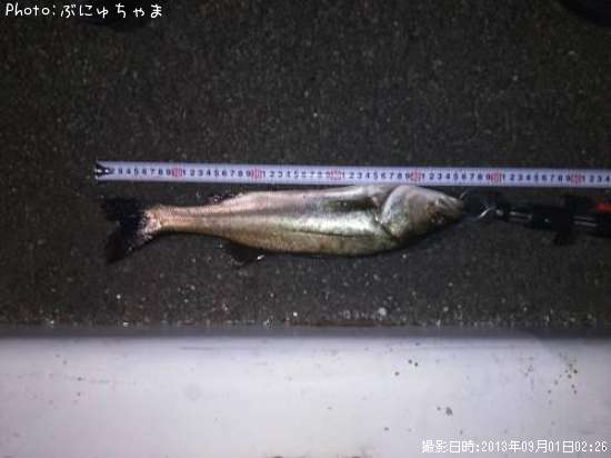 �����Х�