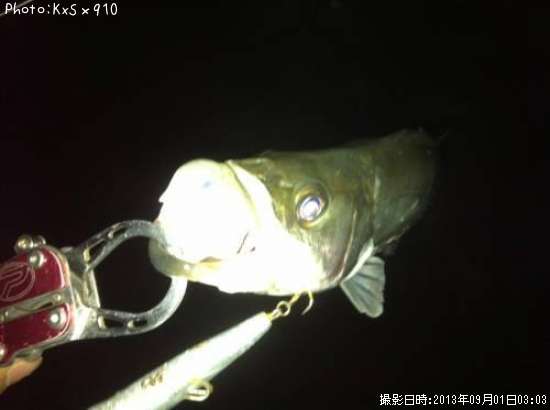 �����Х�