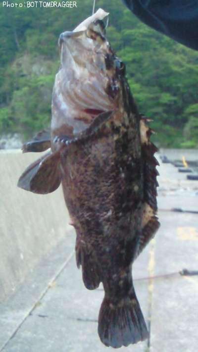 �����Υ���Х�