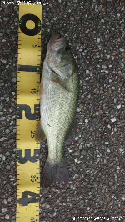 �֥�å��Х�