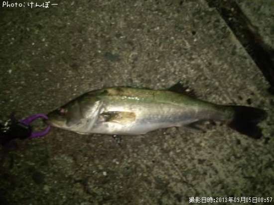 �����Х�