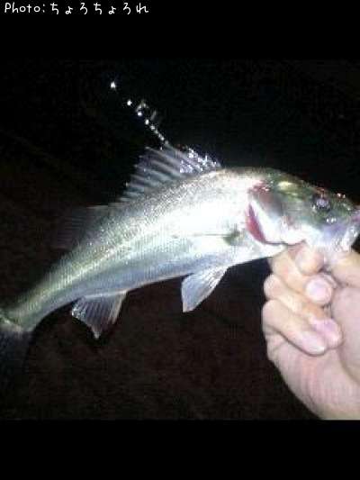 �����Х�