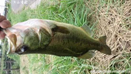 �֥�å��Х�