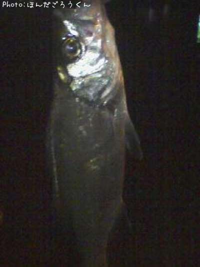 �����Х�