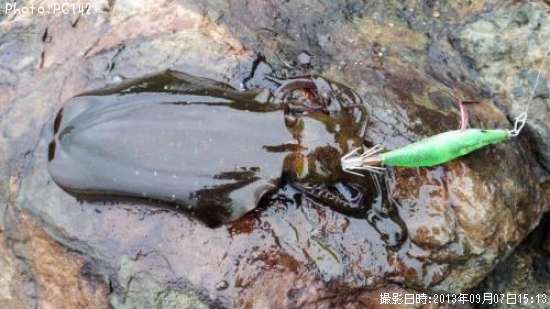 �����ꥤ��