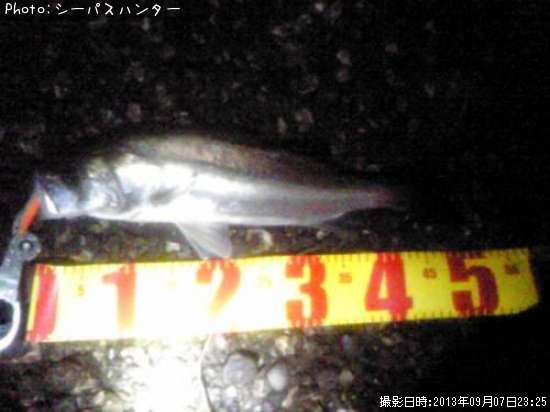 �����Х�