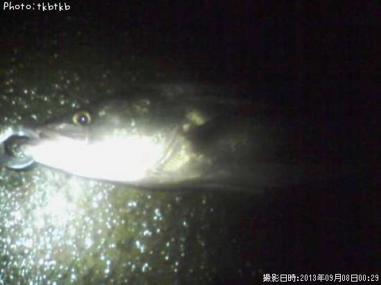 �����Х�