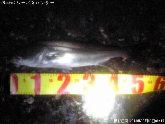 �����Х�