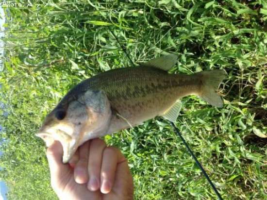 �֥�å��Х�