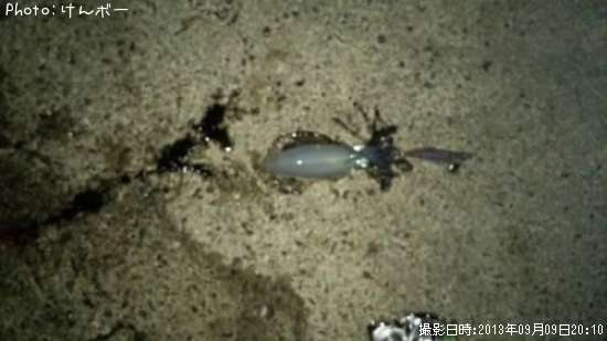 �����ꥤ��