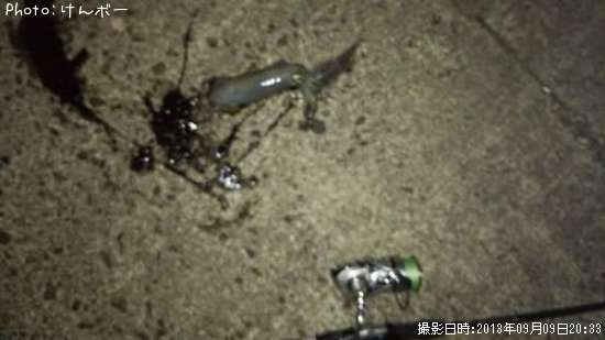 �����ꥤ��