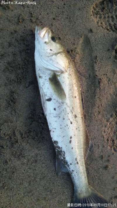 �����Х�