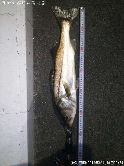 �����Х�