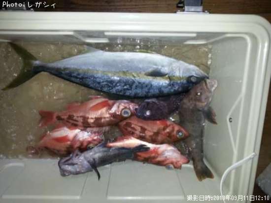 �����ʥᡦ����