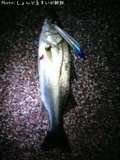 �����Х�