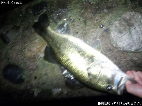 �֥�å��Х�