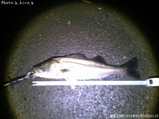 �����Х�