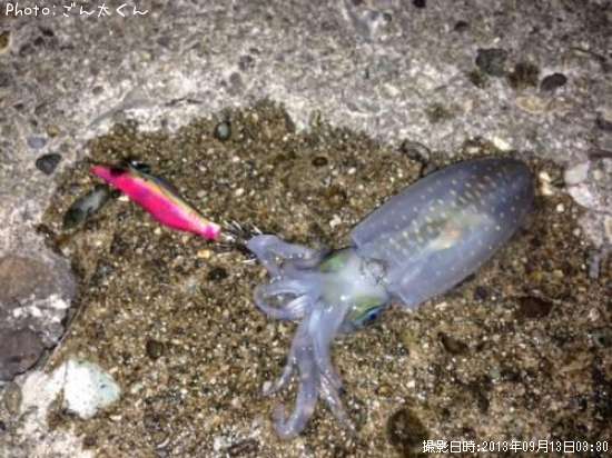 �����ꥤ��