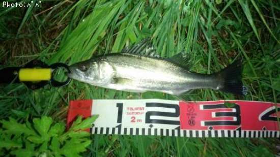 �����Х�