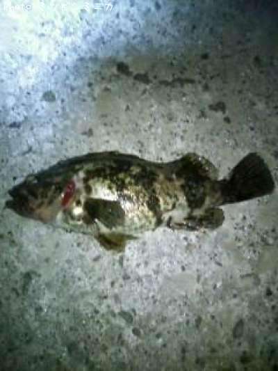 �����Υ���Х�