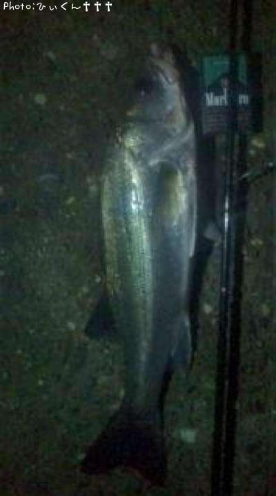 �����Х�