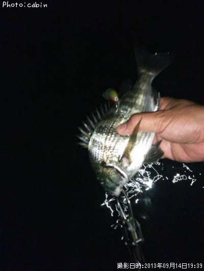 ���ӥ���