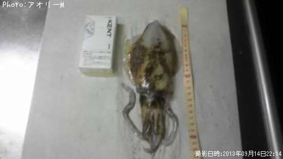 �����ꥤ��