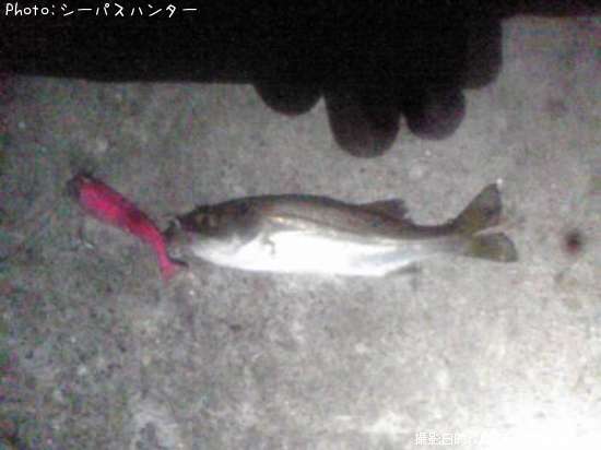 �����Х�