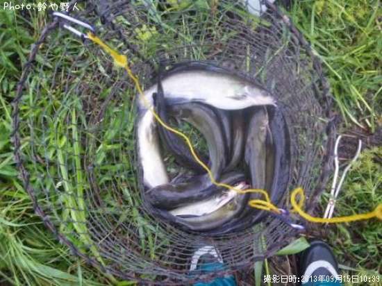 ����åȥե��å���