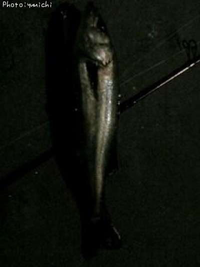 �����Х�